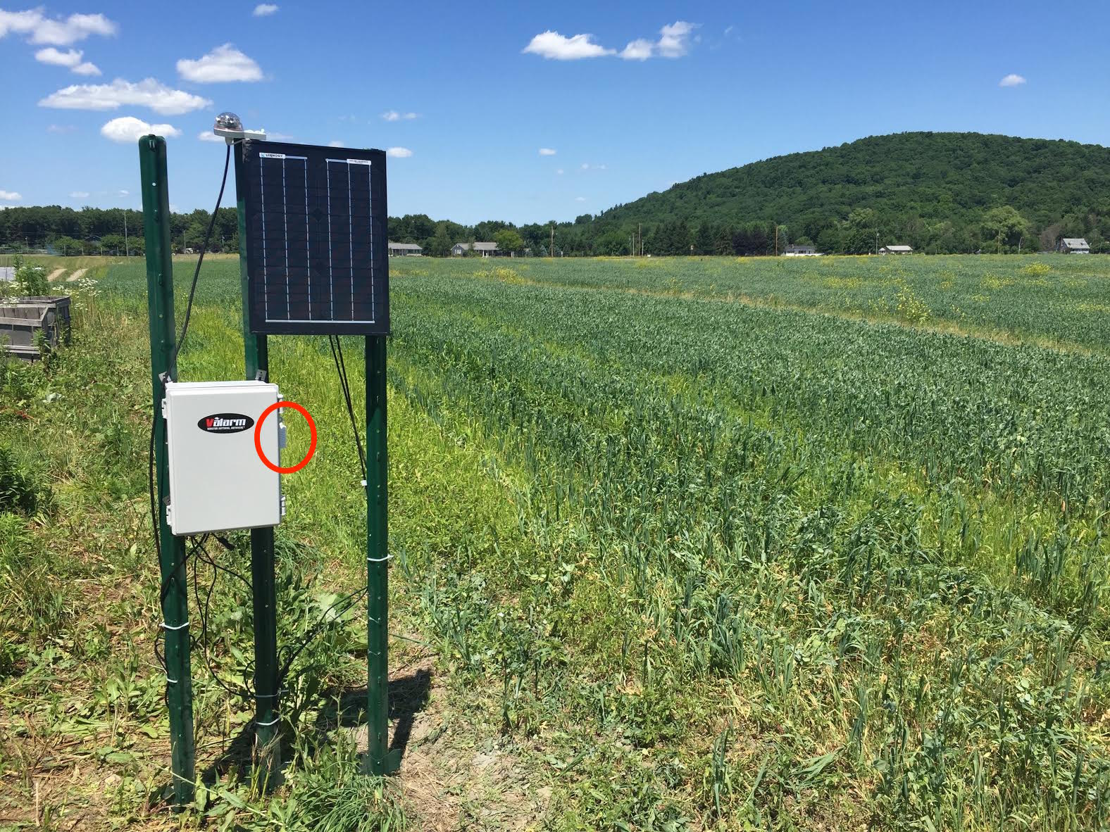 Image result for iot sensor in agriculture